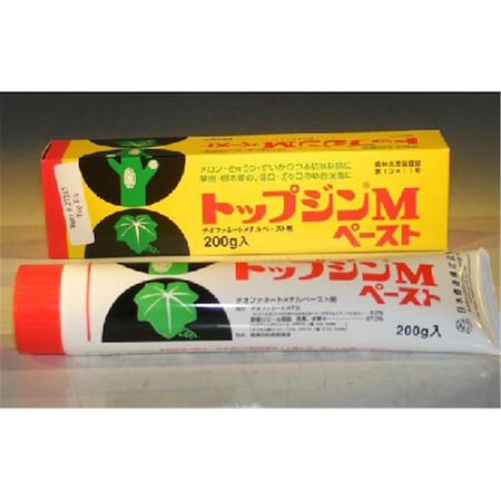 Paisaje 190 g Tube Bonsai Wound & Cut Paste Dressing - Seals Bonsai Tree Wounds PA3342259